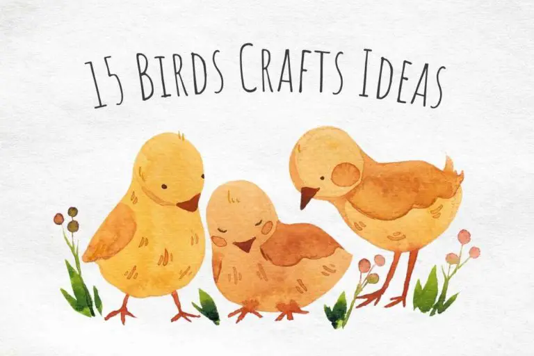 15 Birds Crafts Ideas