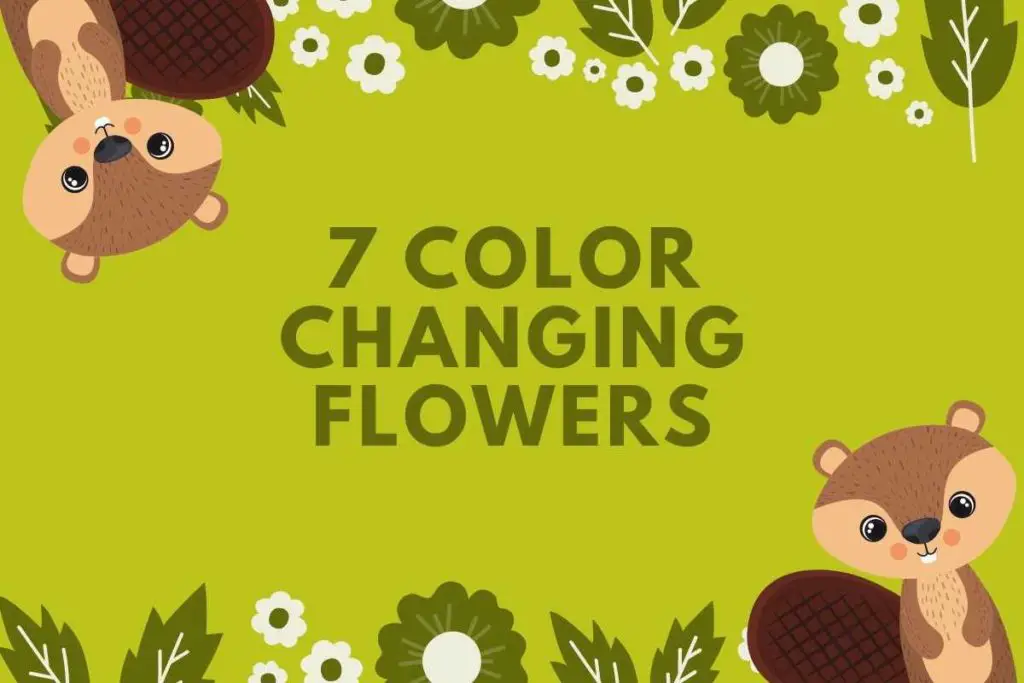 7 Color Changing Flowers