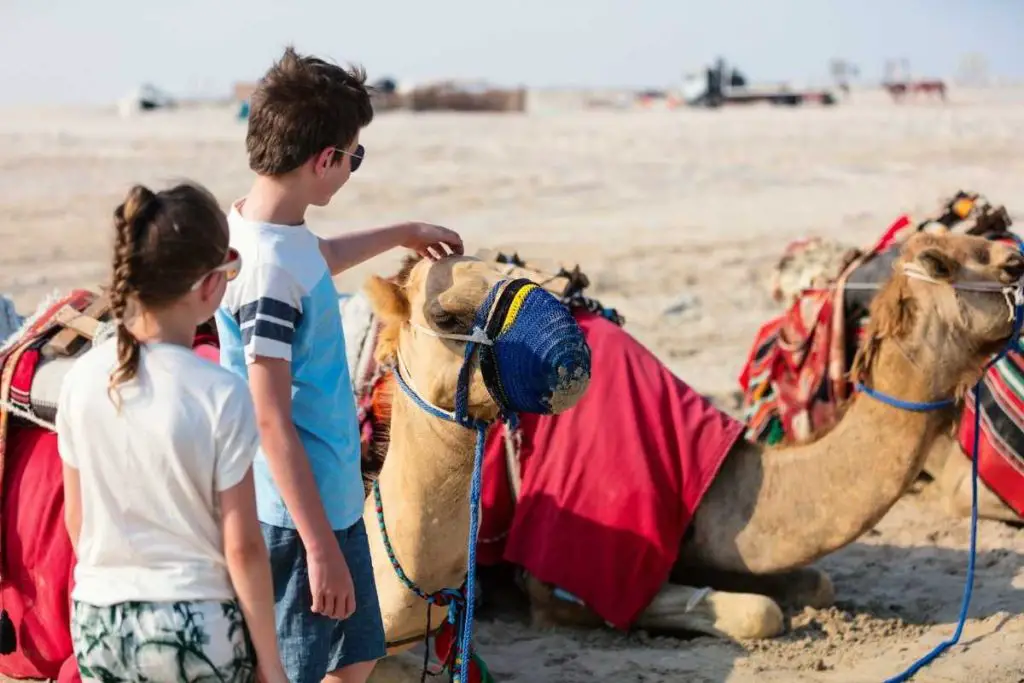 11 Camel Craft For Kids