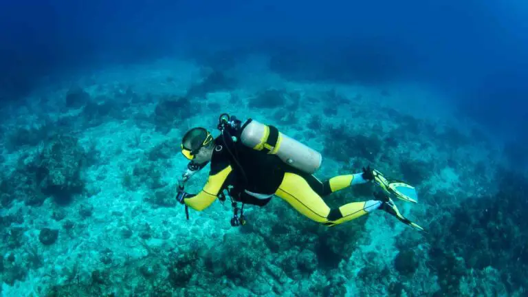 11 Scuba Diver Craft For Kids