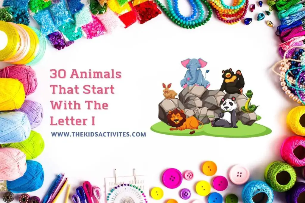 30 Animals That Start With The Letter I