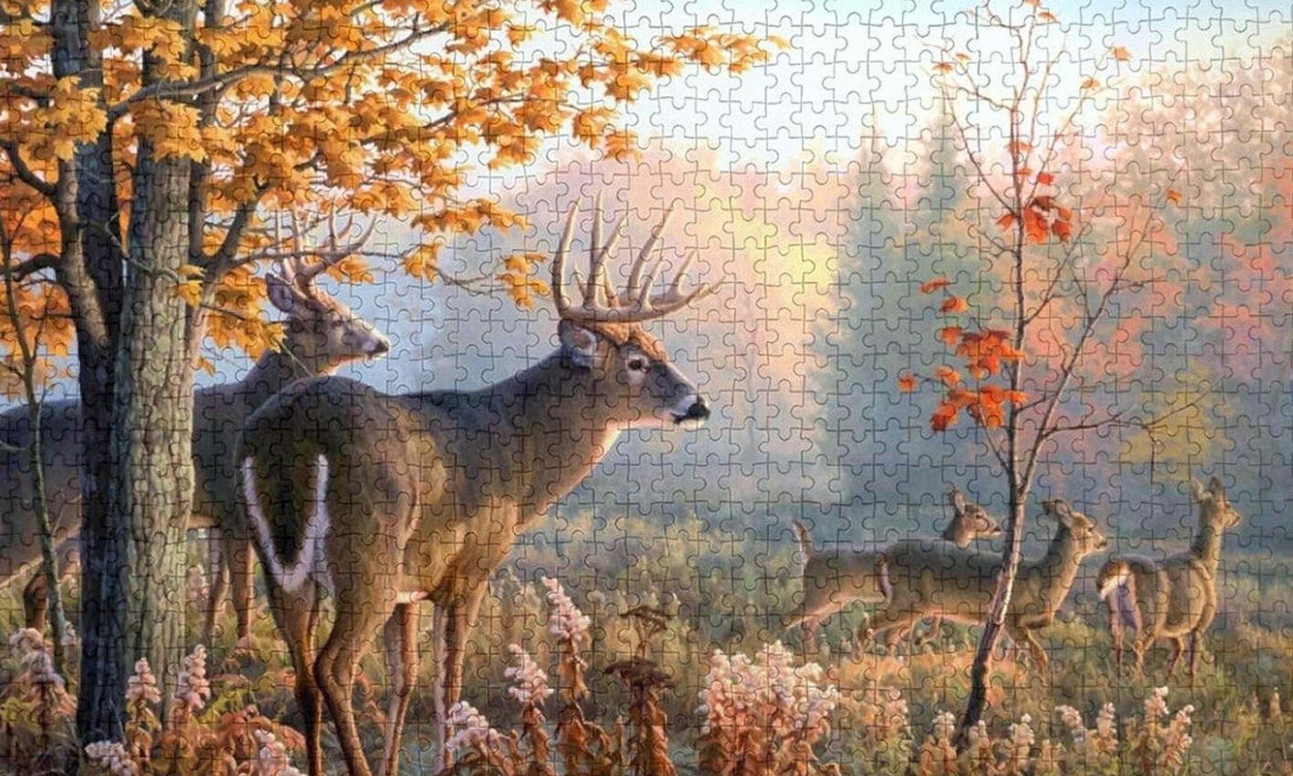 Deer Jigsaw Puzzles