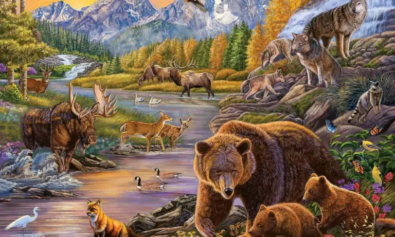 Wildlife Jigsaw Puzzles