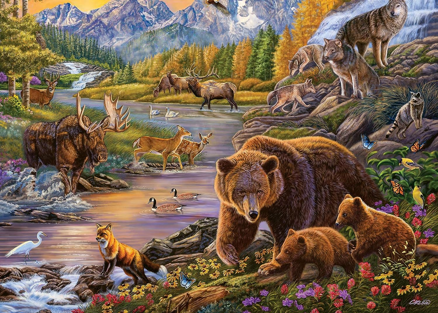 Wildlife Jigsaw Puzzles