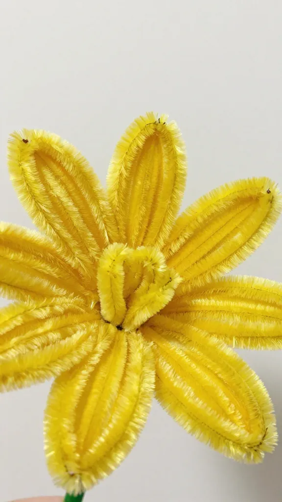 closeup of a single yellow pipe cleaner bloom with fuzzy texture